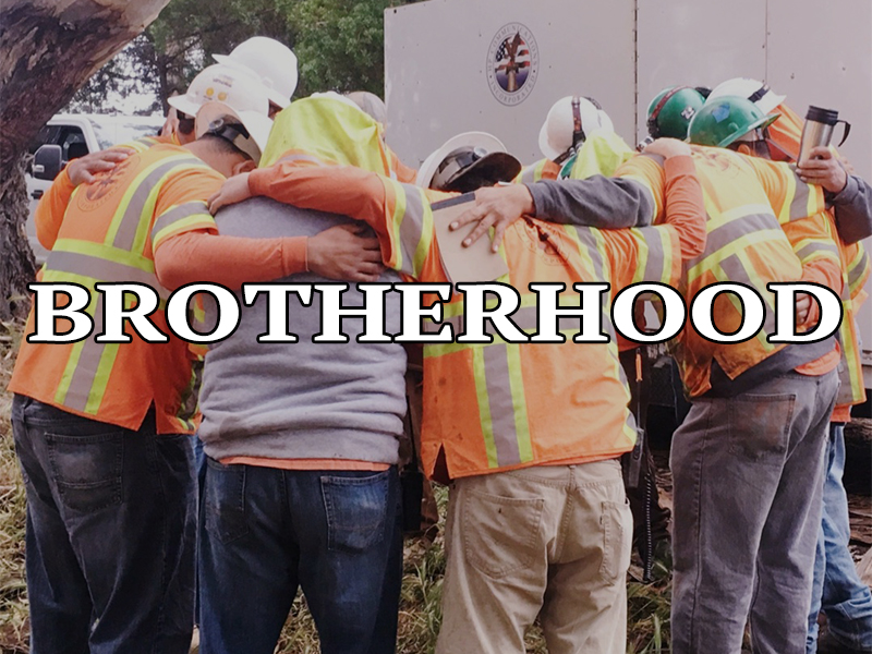 BROTHERHOOD 2022